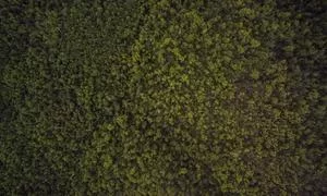 优惠价格